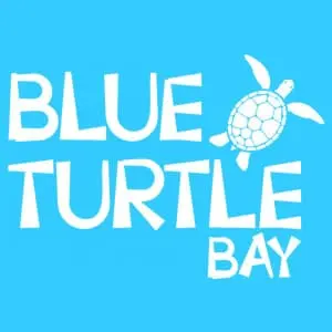 FONDATION BLUE TURTLE